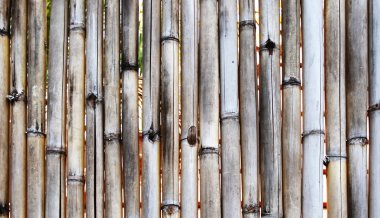 Bambu twxture
