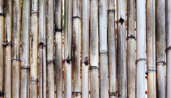 Twxture de bambu — Fotografia de Stock