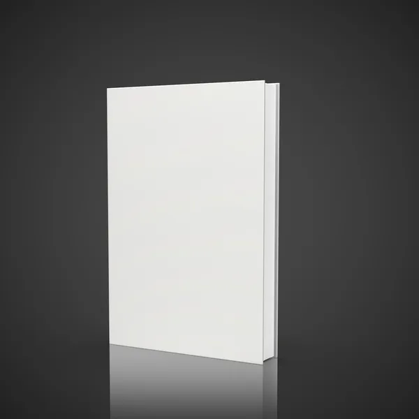 Livro em branco — Fotografia de Stock