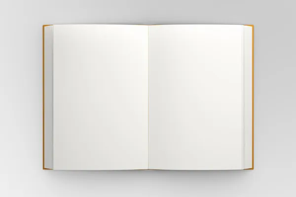 Livro em branco — Fotografia de Stock