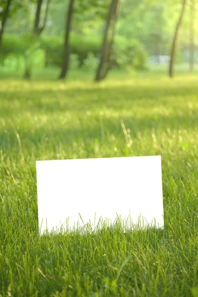 Papel en blanco — Foto de Stock