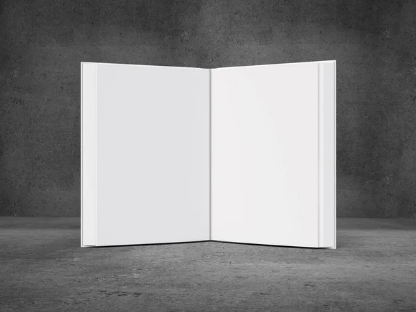 空白的书 — 图库照片