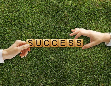 Küp Bulmaca başarı