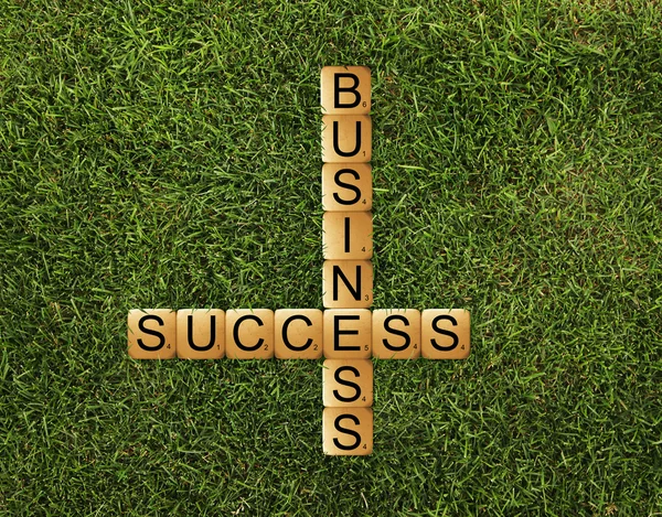 Успех бизнеса — стоковое фото