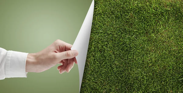 Page with grass — Stock Photo, Image