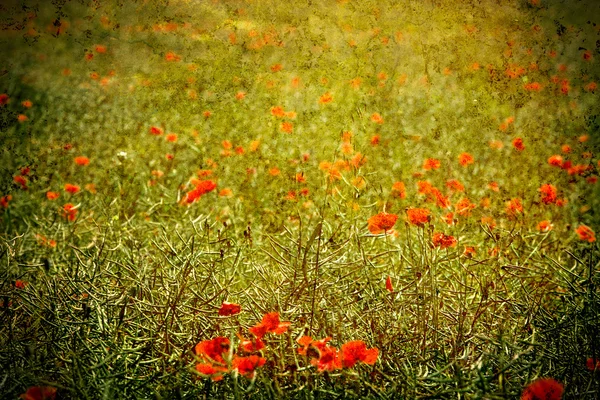 Vintage background with flower (impressionism) — Stock Photo, Image