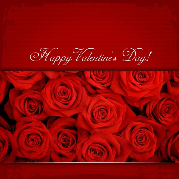 Buon San Valentino & rose rosse Immagine Stock