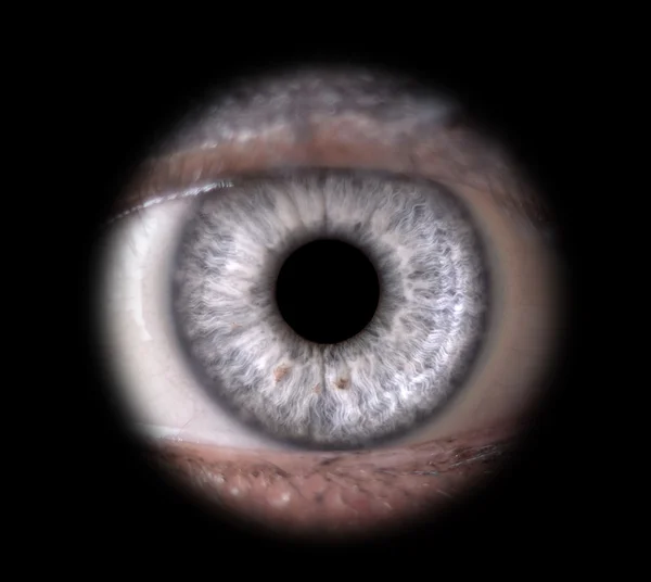 Human eye. — Stock Photo, Image