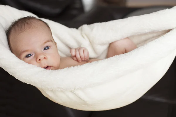 Newborn Baby Hanging — Stock Photo, Image