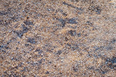 Deniz kenarındaki kum, yukarıdan görünen manzara, günbatımı