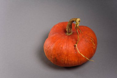 Gri arkaplanda balkabağı, kapat 