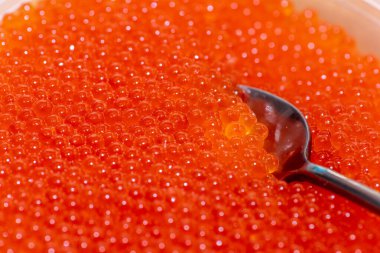 Tahta midillinin üzerinde plastik bir kavanozda taze kırmızı havyar, yanında çay kaşığı, yemeden önce alınmış.