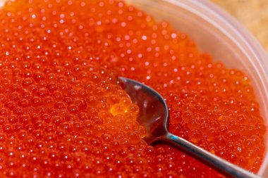 Tahta midillinin üzerinde plastik bir kavanozda taze kırmızı havyar, yanında çay kaşığı, yemeden önce alınmış.