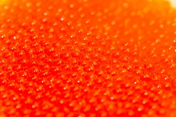 Red Caviar Macro Photography Focus Center Selective Focus Close Background — Fotografia de Stock