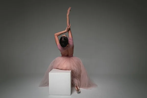 Ung Söt Bräcklig Vacker Ballerina Sitter Vit Kvadrat Inverterade Upphöjda — Stockfoto