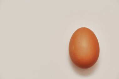 Tam bir tavuk yumurtası. Gerçekçi vektör. Beyaz arkaplanda kahverengi yumurta