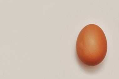 Tam bir tavuk yumurtası. Gerçekçi vektör. Beyaz arkaplanda kahverengi yumurta