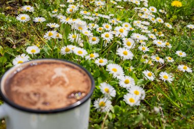 enameled light metal mug with fragrant morning coffee on grass with field daisies