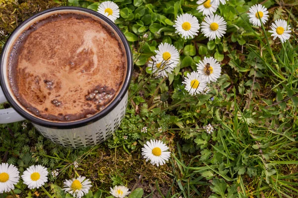 Enameled Light Metal Mug Fragrant Morning Coffee Grass Field Daisies — Stockfoto