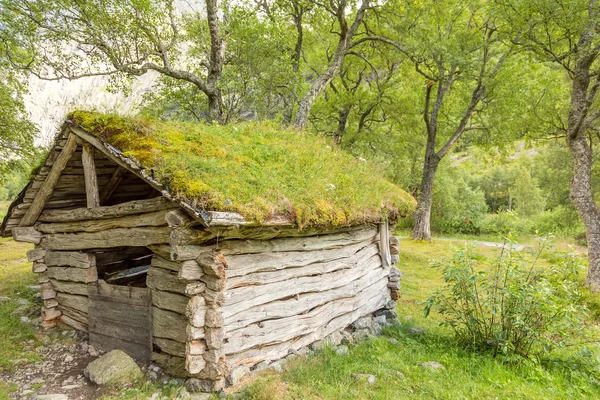 Old shed — Stock Photo, Image