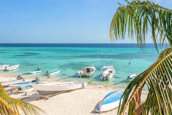 Spiaggia dell'isola Grand Roque — Foto Stock