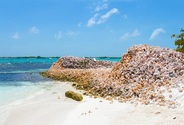 Berge von Muscheln — Stockfoto