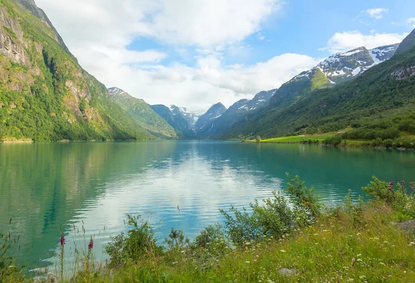 Pittoreska landskap i norsk fjord — Stockfoto