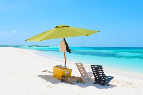 Picknick am Strand — Stockfoto