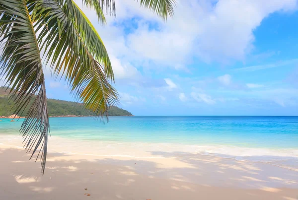 Plage tropicale Anse Lazio, Seychelles — Photo