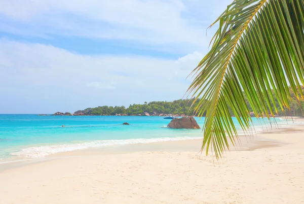 Тропічний пляж анс Лаціо, Сейшельські острови — стокове фото