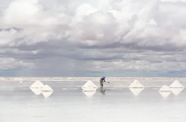 Arbetstagare som utför avverkningen salt — Stockfoto