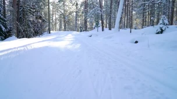 Uma mulher indo esqui cross-country em uma floresta congelada na Finlândia em um dia gelado ensolarado — Vídeo de Stock
