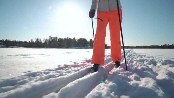 Soğuk ve güneşli bir günde Finlandiya 'da donmuş bir körfezde kayak yapmaya giden bir kadın. — Stok video