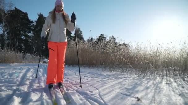 Una mujer que va a esquiar a campo traviesa en una bahía congelada en Finlandia en un día soleado y helado — Vídeo de stock
