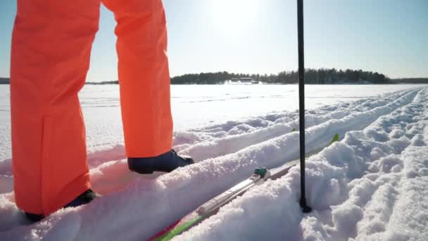 Жінка їде на лижах у замерзлу бухту Фінляндії в холодний сонячний день. — стокове відео