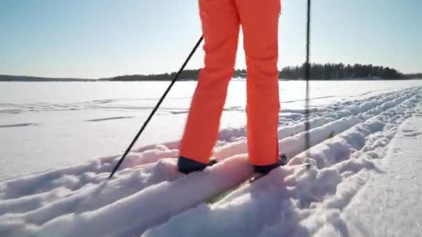 En kvinna som åker längdskidor på en frusen vik i Finland en frostig solig dag — Stockvideo