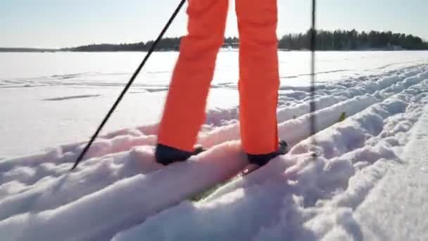 Una mujer que va a esquiar a campo traviesa en una bahía congelada en Finlandia en un día soleado y helado — Vídeos de Stock