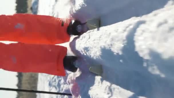 Una mujer que va a esquiar a campo traviesa en un bosque helado en un día soleado. — Vídeo de stock
