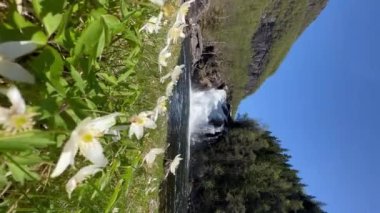 Latefossen, Norveç 'in Vestland ilinin Ullensvang Belediyesi' nde yer alan bir şelaledir. 165 metre yüksekliğindeki şelale iyi bilinen bir turistik cazibe merkezidir. Dikey video