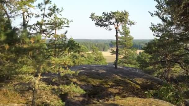 Pria Dewasa Dengan Peralatan Hiking Berjalan Hutan Pegunungan Finlandia Dan — Stok Video