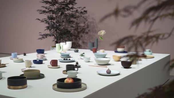 芬兰赫尔辛基 2022年9月8日 芬兰最大的家具 设计和装饰活动 Ceramic Tableware Japanese Company Saikaishop — 图库视频影像