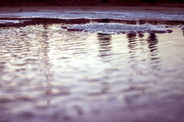 Sahra Çölü, Salt Lake, Tunus. Tuz çölüne yakın çekim.