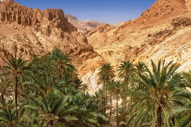 Sahra Çölü 'nün, Tunus' un, Afrika 'nın ortasındaki Shebika Dağı vahasının manzarası.