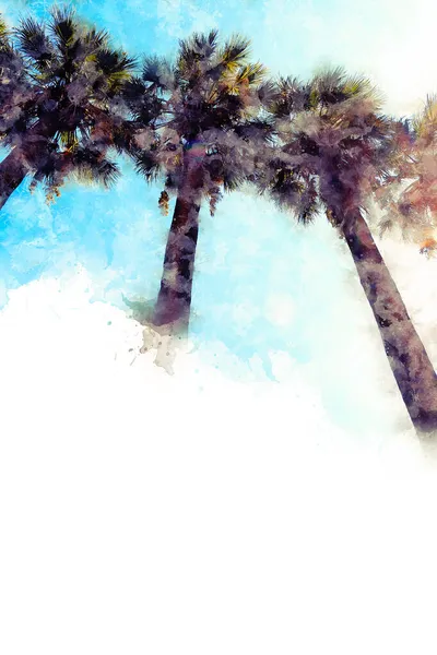 Akvarellteckning. Bild av vackra palmer på bakgrunden av beruyuz himlen — Stockfoto