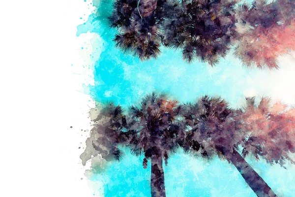 Dibujo de acuarela. Imagen de hermosas palmeras en el fondo del cielo beruyuz — Foto de Stock