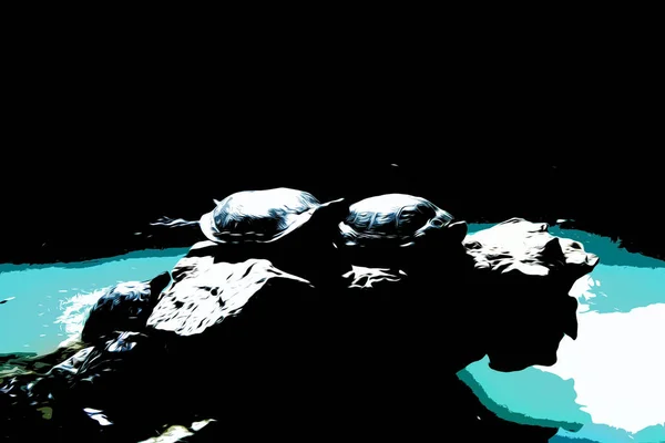 Illusztráció. Tengeri teknősök pihennek egy sziklán a víz mellett egy tóban a Nemzeti Botanikus Kert Athén. — Stock Fotó