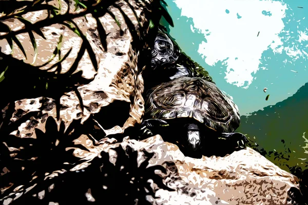 Illustration. Havssköldpaddor vilar på en sten vid vattnet i en damm i Atens nationella botaniska trädgård. — Stockfoto