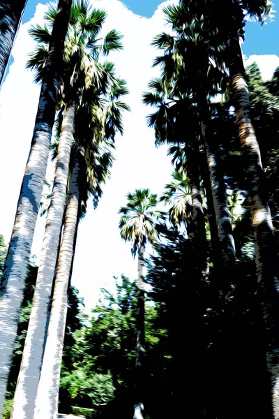 Иллюстрация. Изображение красивых пальм на фоне беруюза — стоковое фото
