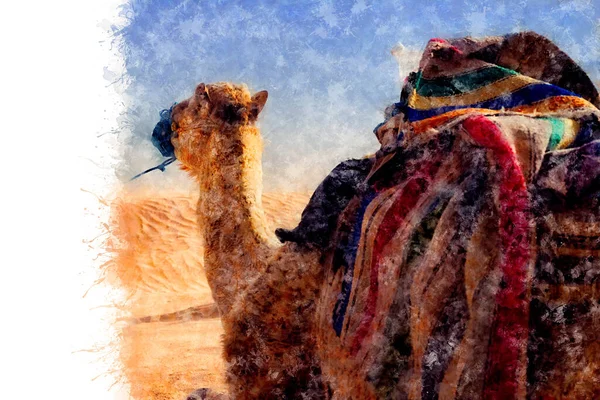 Desenho Aquarela Dromedary Camel Senta Areia Deserto Saara Descansando Tunísia — Fotografia de Stock