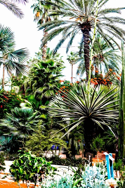 Illustration Wunderschöner Tropischer Garten Mit Verschiedenen Palmen Und Kakteen Jardin — Stockfoto